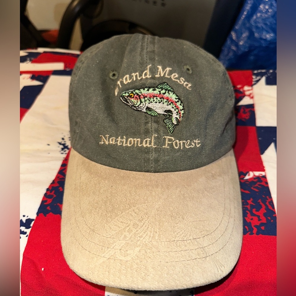 Grand Mesa National Forest strapback hat